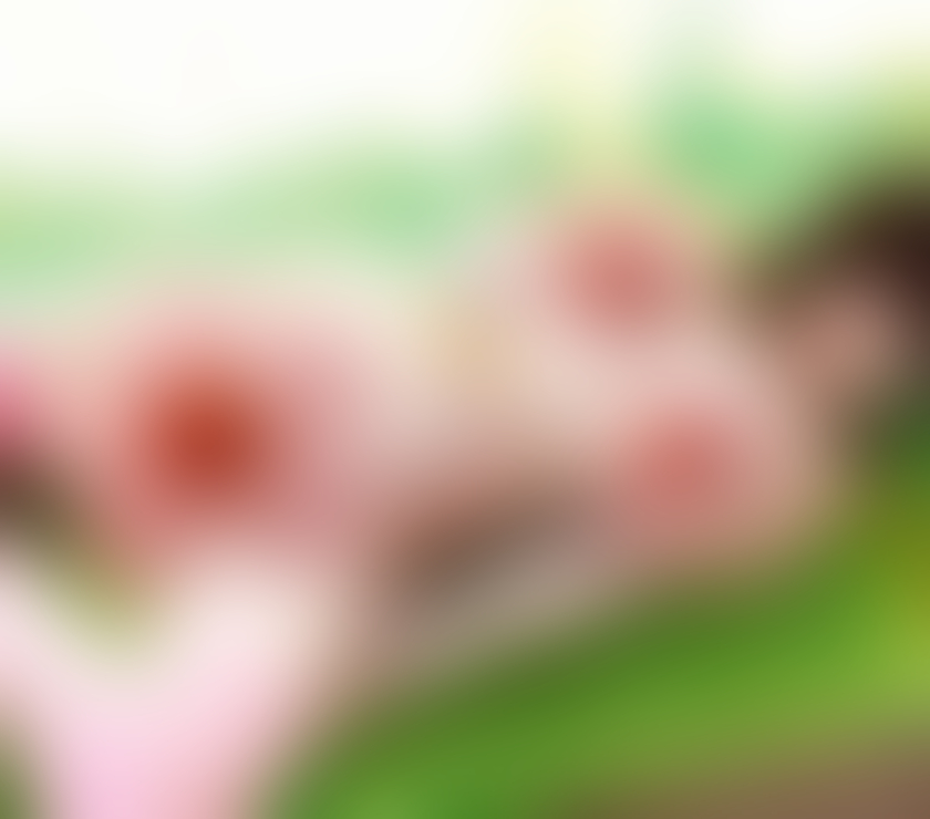 Escorts North West London Wembley Park - North West London - Photos for 🌸Wembley Park Korea & Harrow massage